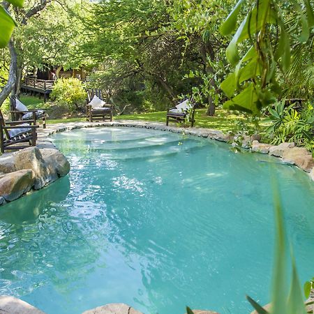 Little Bush Lodge Hoedspruit Extérieur photo