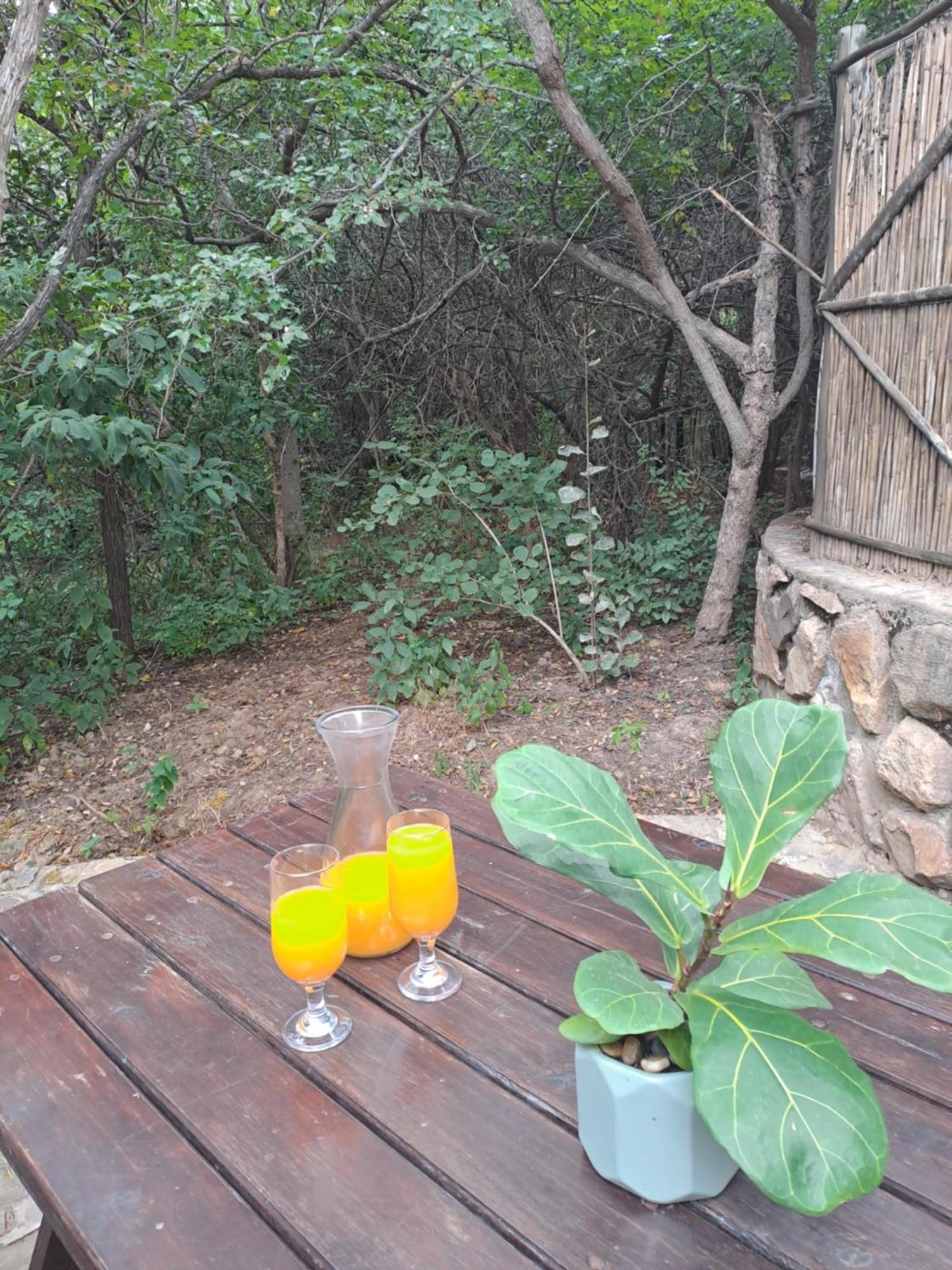 Little Bush Lodge Hoedspruit Extérieur photo