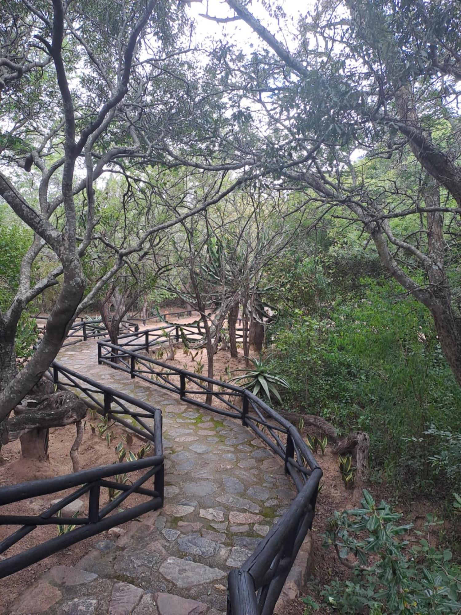 Little Bush Lodge Hoedspruit Extérieur photo
