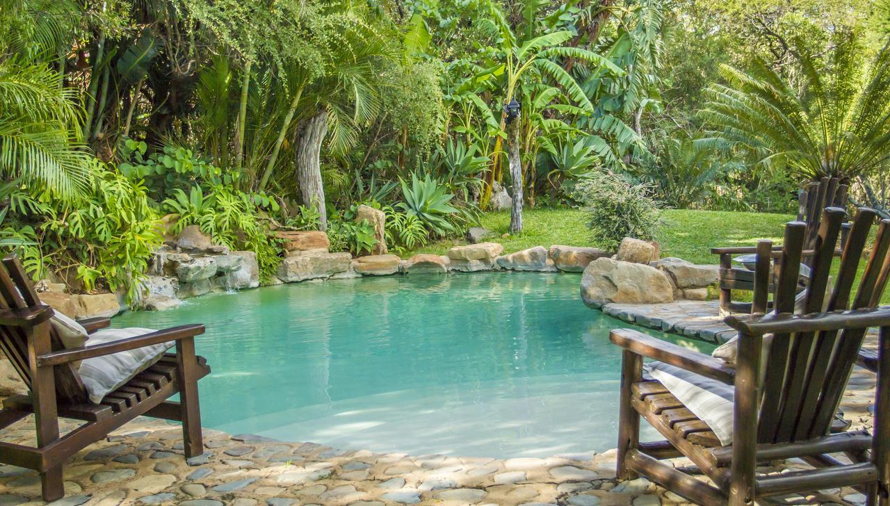 Little Bush Lodge Hoedspruit Extérieur photo