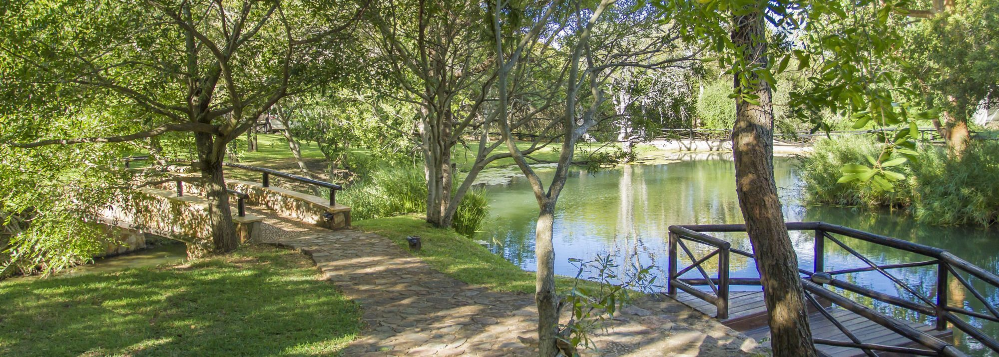 Little Bush Lodge Hoedspruit Extérieur photo